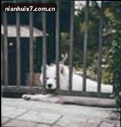 李娜